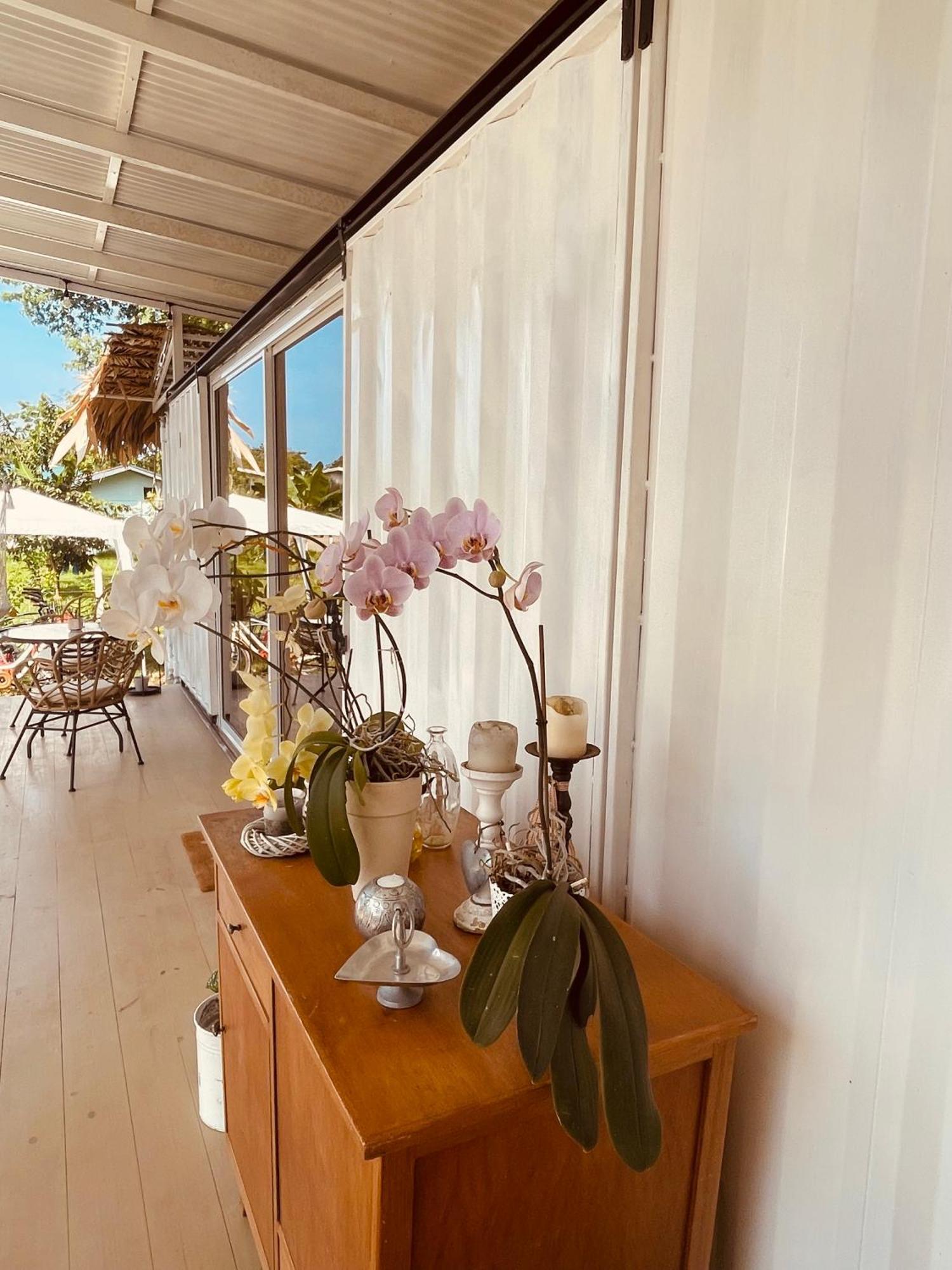 Casa Luce Bed & Breakfast Puerto Viejo de Talamanca Bagian luar foto