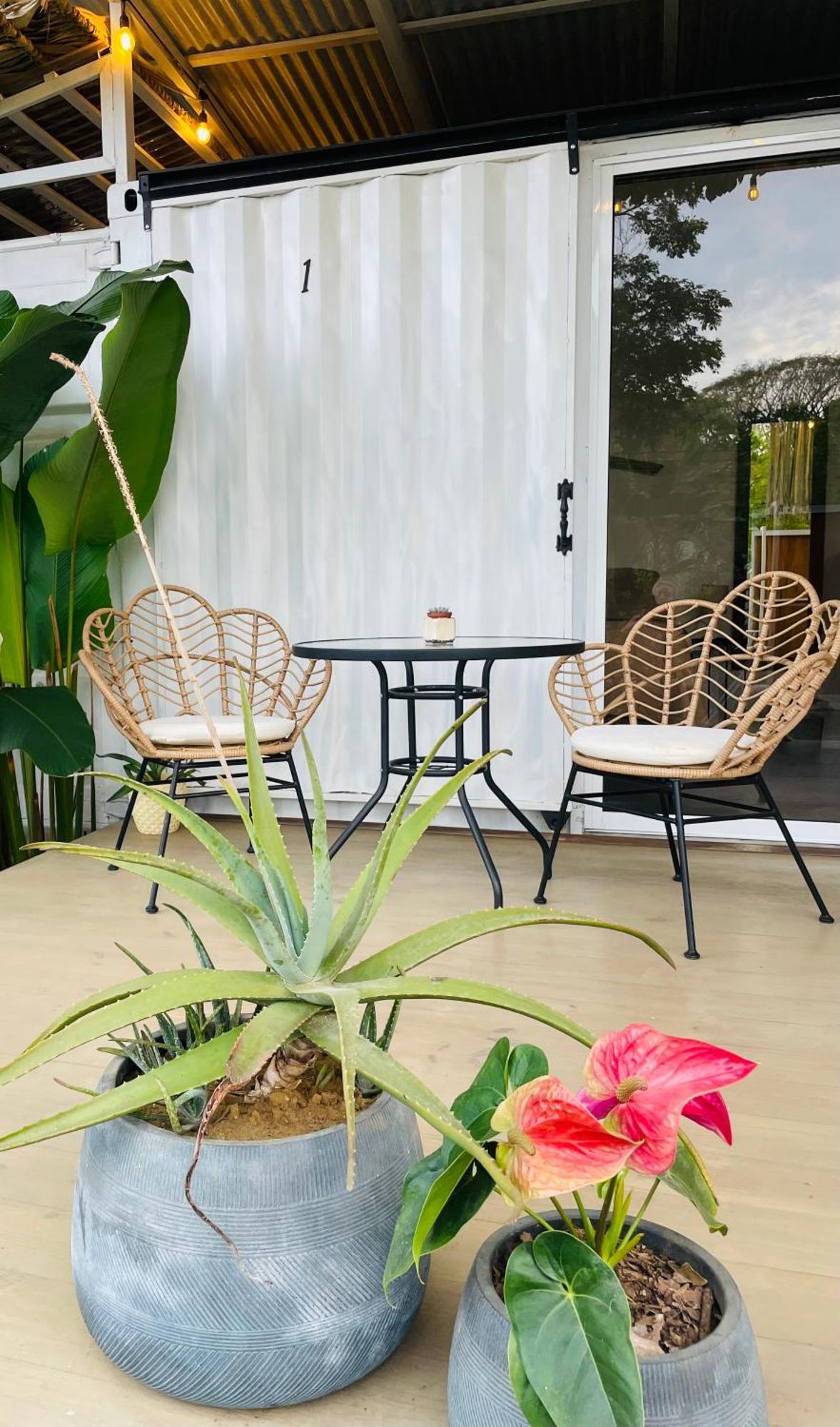 Casa Luce Bed & Breakfast Puerto Viejo de Talamanca Bagian luar foto