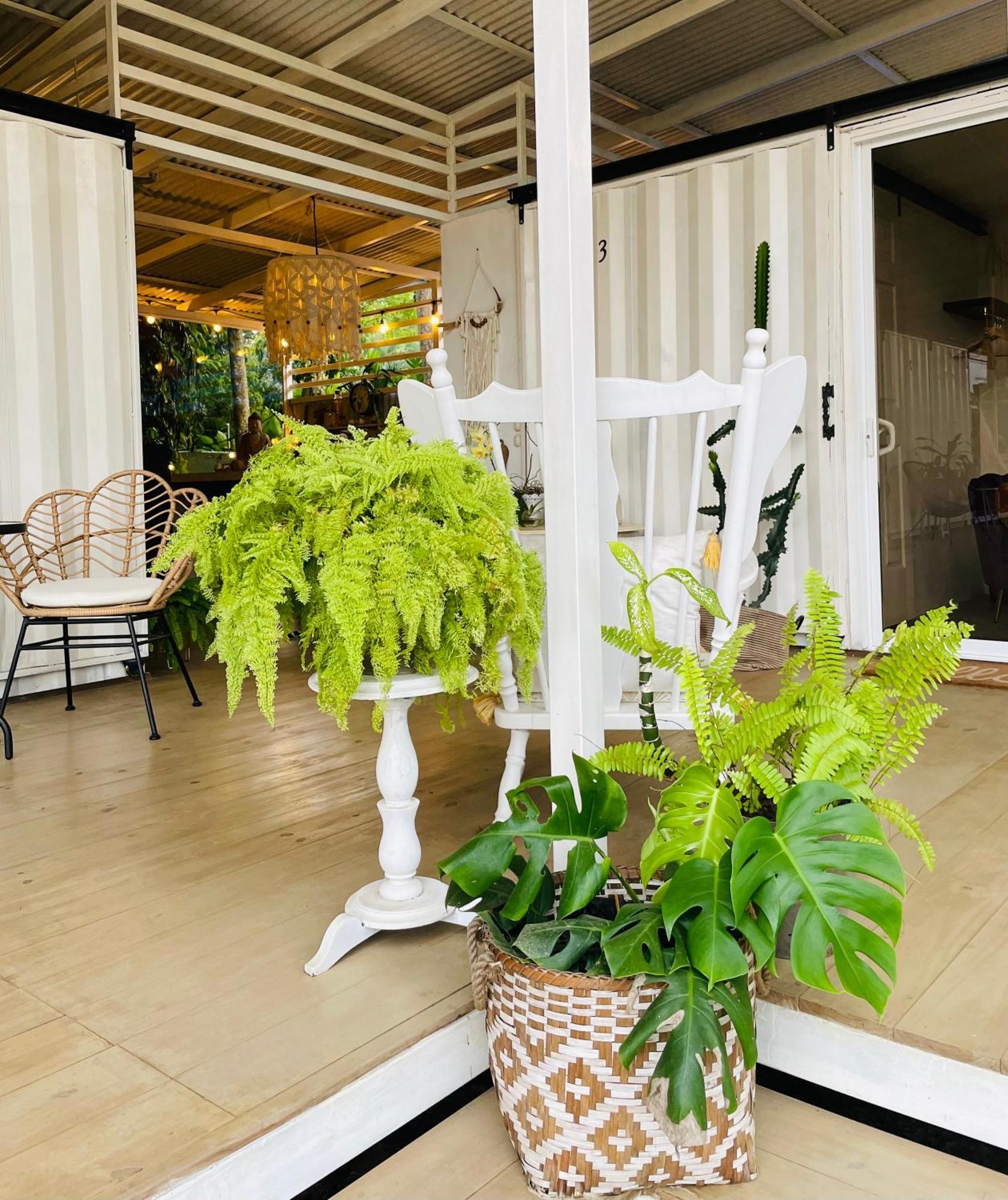 Casa Luce Bed & Breakfast Puerto Viejo de Talamanca Bagian luar foto